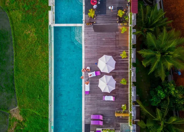 Hotel: The Evitel Resort Ubud